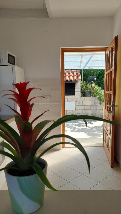 Apartmani Matea Zaton  Exterior foto