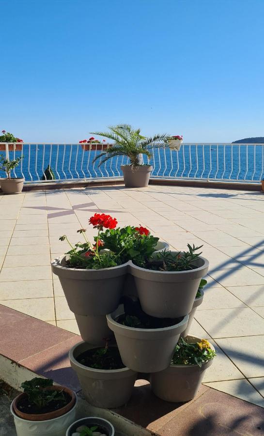 Apartmani Matea Zaton  Exterior foto
